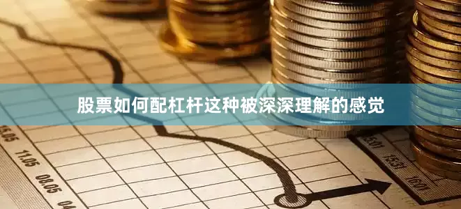 股票如何配杠杆这种被深深理解的感觉