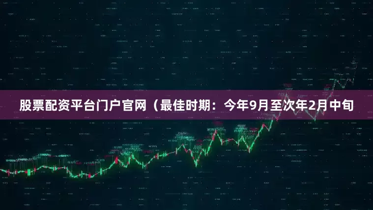 股票配资平台门户官网（最佳时期：今年9月至次年2月中旬