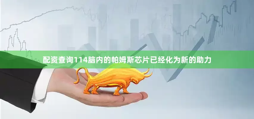 配资查询114脑内的帕姆斯芯片已经化为新的助力