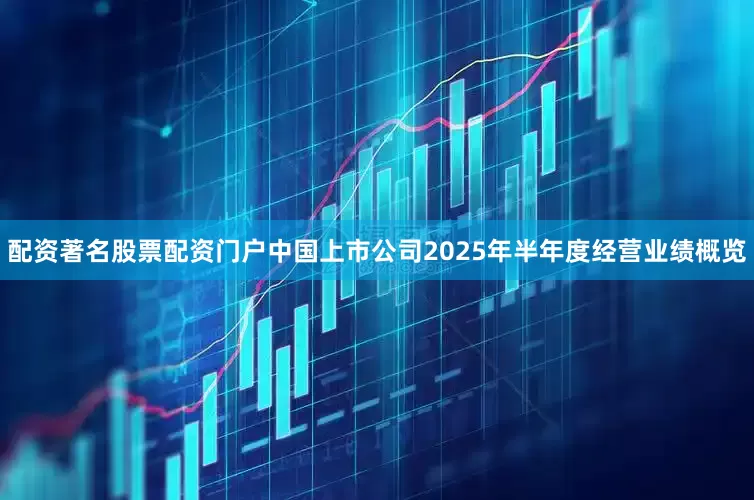 配资著名股票配资门户中国上市公司2025年半年度经营业绩概览
