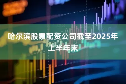 哈尔滨股票配资公司截至2025年上半年末